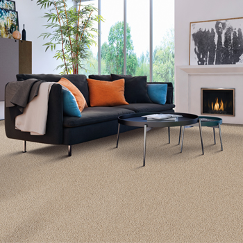 beige durable carpet in living room